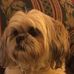 Sandra Cadle - Facebook