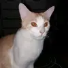Sandra Caesar - @user4qx1lxwo03 - TikTok