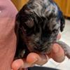 sandra - @sandra.cairns - TikTok