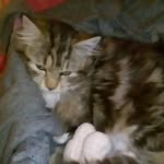 sandra.calado - @sandra.calado7391 - Instagram