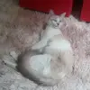 Sandra Calderaro - @sandracalderaro2 - TikTok