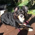Sandra Calloway - @slcalloway3 - Instagram