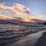 Sandra Calvano - @saccalvano - Instagram