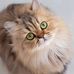 Sandra Carletti - Facebook