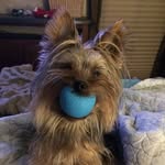 Sandra Calvin - @calsa5367 - Instagram