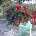 Sandra Camero - Facebook