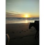 Sandra Camilletti - Facebook