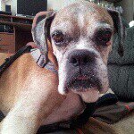 Sandra Canada - @scanada7239 - Instagram