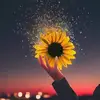 Sandracanas12 - @sandracanas12 - TikTok