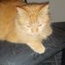 Sandra Cantone - Facebook