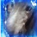 Sandra Cantone - Facebook