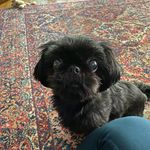 Sandra Capuano - @tauker2 - Instagram