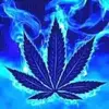 Sandra Cardinal - @sandra.cardinal - TikTok