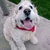 SANDRA CARDOZO - @sandraprada27 - TikTok