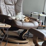 Sandra Carleton - @carletonsandra - Instagram