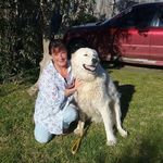 Sandra Carlon - @sandra.carlon.775 - Instagram