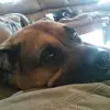 Sassy Sandy - @sandracarpenter683 - TikTok