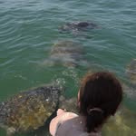 Sandra Carrion - @sandra.carrion.98284 - Instagram