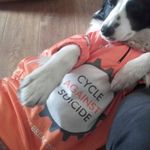 Sandra Carroll - @sandra.carroll.5454 - Instagram