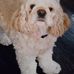 Sandra Caruthers - Facebook