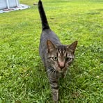 Sandra Carver - Facebook