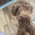 Sandra Carver - Facebook
