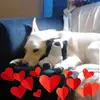 sandracarver7668 - @sandracarver7668 - TikTok