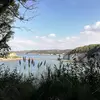 Sandra Carvin Giraud - @sandra.carvin.gir - TikTok