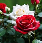 Sandra Casas - Facebook