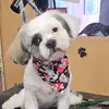 Sandra - @sandracassetta10 - TikTok