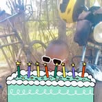Sandra Cate - Facebook