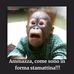 Sandra Cattaneo - Facebook