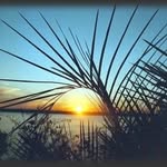 Sandra Oggero Cattaneo - @sanoggero - Instagram