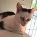 Sandra Cazarez - Facebook