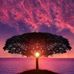 Sandra Cazarez - Facebook