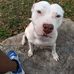 Sandra Ceasar - Facebook