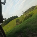 Sandra Cedeño - Facebook