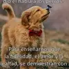 user9718336213140 - @sandracedeno72 - TikTok