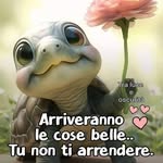 Roberta Roverso - @celano_sandra - Instagram