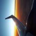 Sandra Celli - Facebook