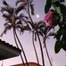 Sandra Cerny - Facebook