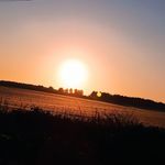 Sandra Chapin - @sandra.chapin.5283 - Instagram