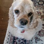 Sandra Chapin Horling - @sandrahorling - Instagram