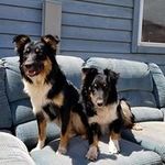 Sandra Charest Hagan - @haygirl5225 - Instagram