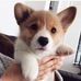 Sandra Chee - Facebook