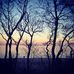 Sandra Chesser - Facebook