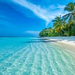 Sandra Tobin Chiasson - Facebook