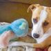 Sandra Lee Childs - Facebook