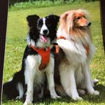 Sandra Chilton - @sandra.chilton.9 - Instagram