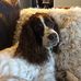 Sandra Chilton - Facebook